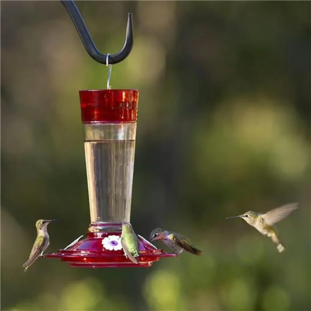 Bird Health+ Ruby Hummingbird Feeder, Glass Hummingbird Feeders for Outdoors